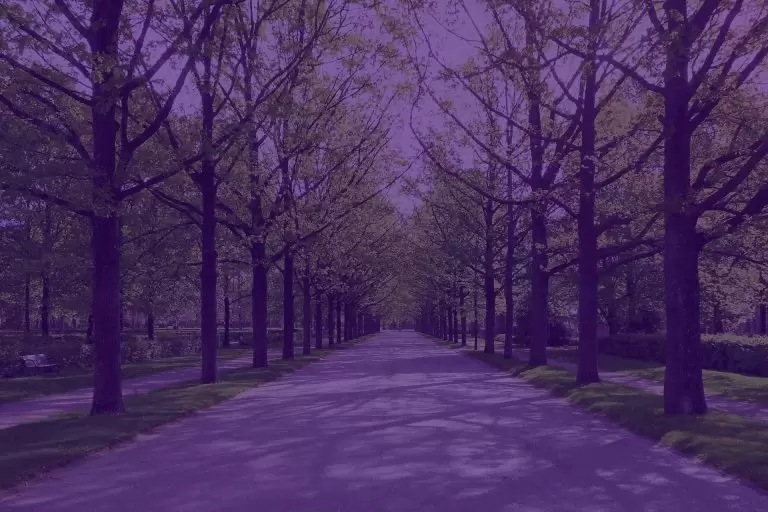 Kestävä huominen rakennetaan vastuullisilla tämän päivän valinnoilla